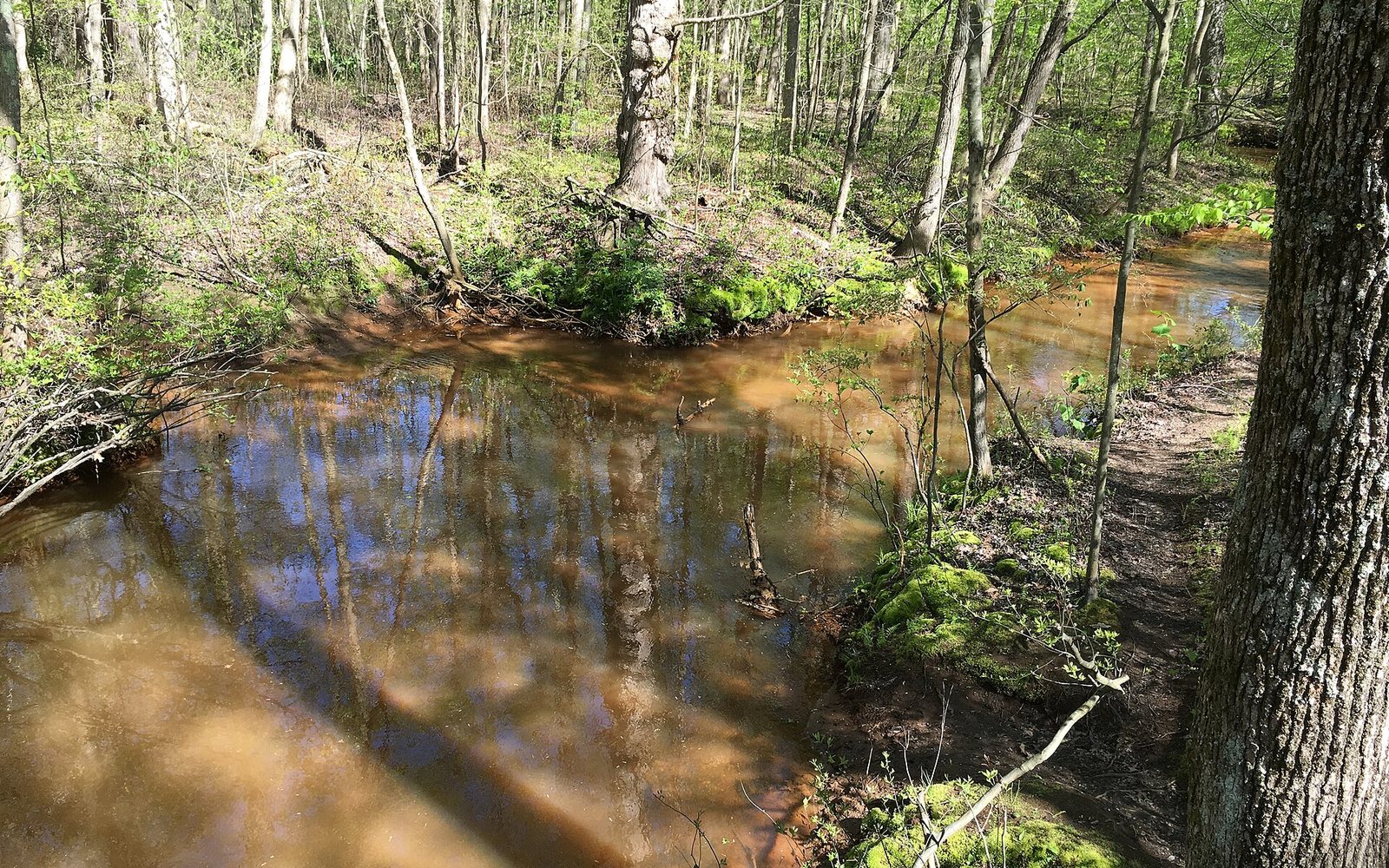 Shark River County Park in Wall Township